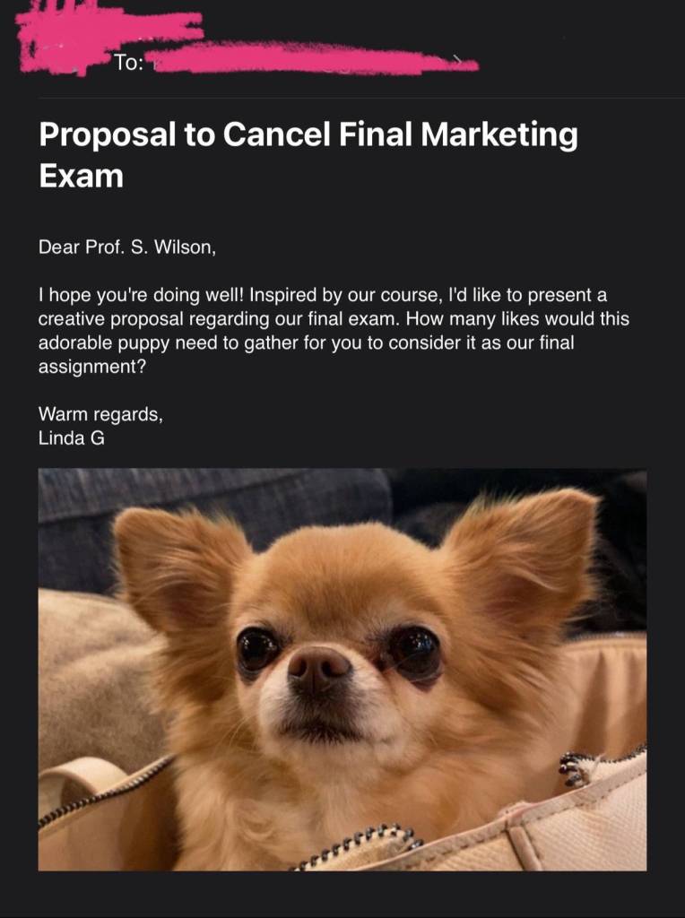 Screenshot of an email titled: Proposal to Cancel Final Marketing Exam

The body of the email reads:

Dear Prof. S. Wilson,

I hope you're doing well! Inspired by our course, I'd like to present a creative proposal regarding our final exam. How many likes would this adorable puppy need to gather for you to consider it as our final assignment?

Warm regards,
Linda G

Attached is an image of a small, fluffy dog with light brown fur and large ears