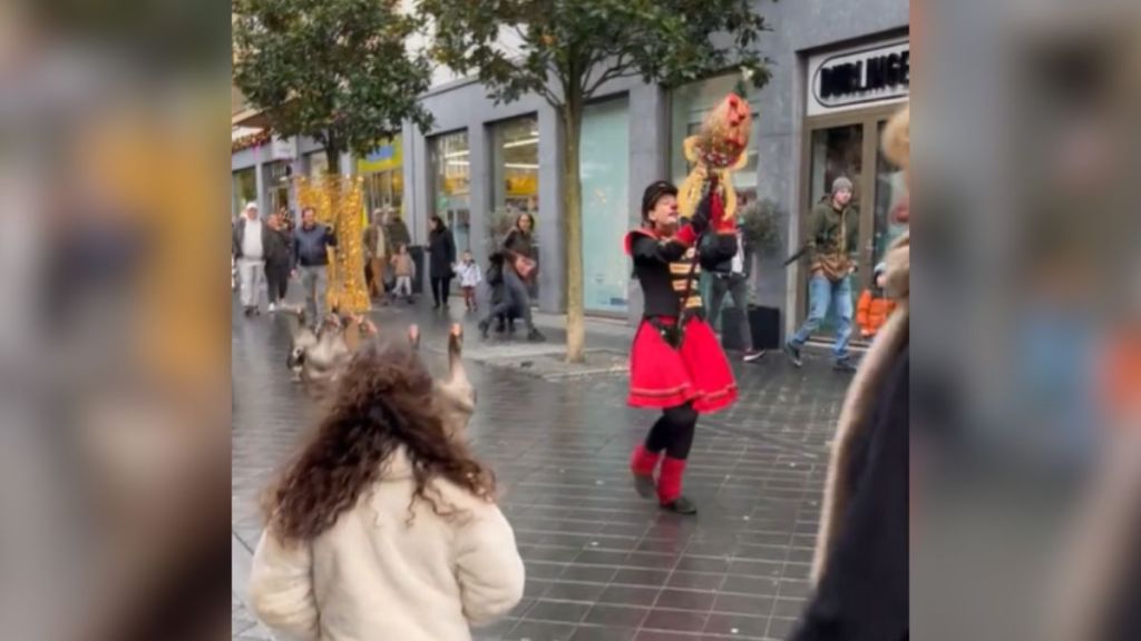 A woman in a costume leading a parade of geese.