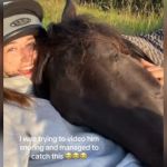 A horse taking a nap on their owner's chest.