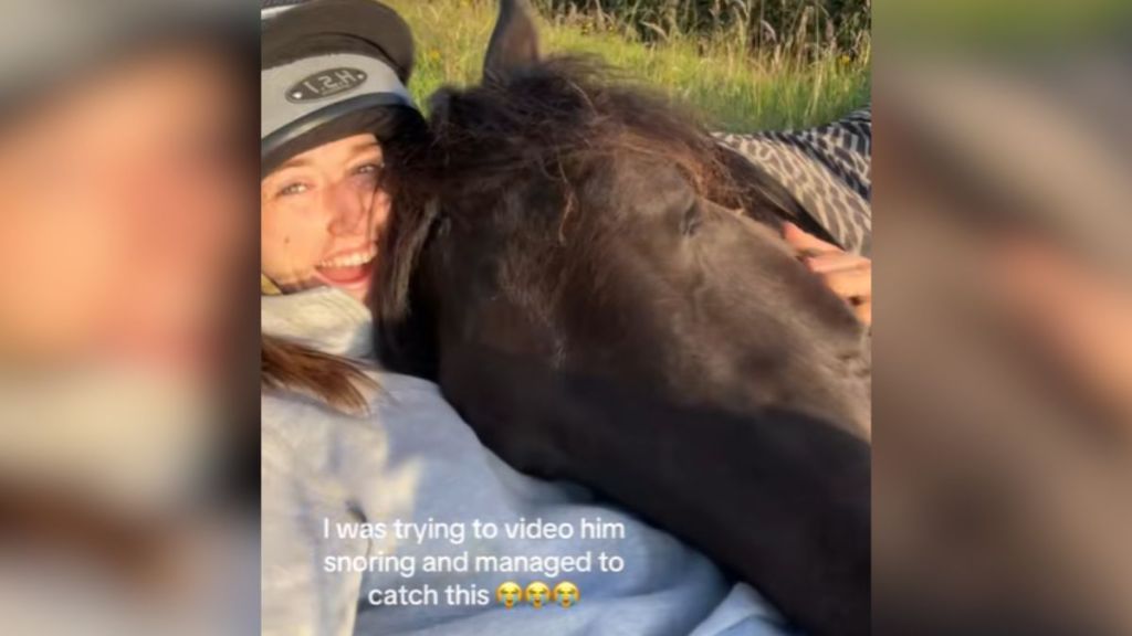 A horse taking a nap on their owner's chest.