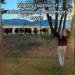 A woman dancing in front of a herd of cows.