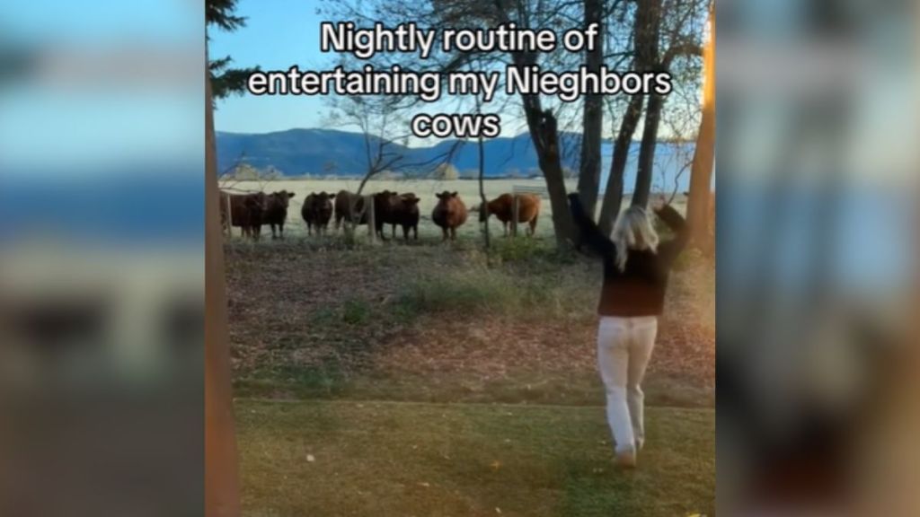 A woman dancing in front of a herd of cows.