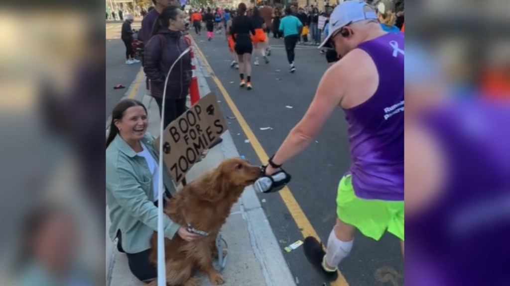 NYC Marathon runners pass by a woman smiling with her dog. One man stops to "boop" the dog's nose. The woman holds a sign that reads "Boop for Zoomies"