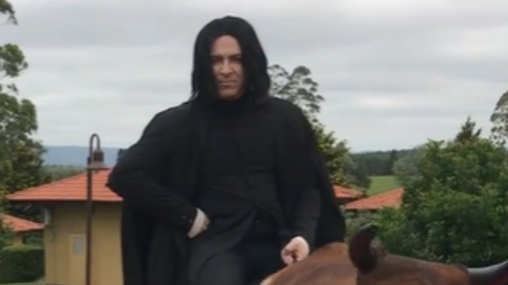 Close up of a man dressed like Professor Snape from Harry Potter. Whatever he is sitting on is partially covered. He is outside