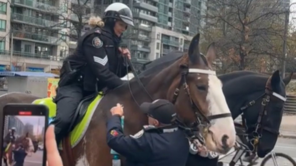 Close up of two horses. A police officer sits on one. A second officer works to place something around that same horse's neck