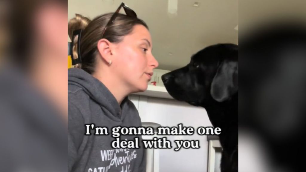 A woman in a grey sweater talking to her dog.