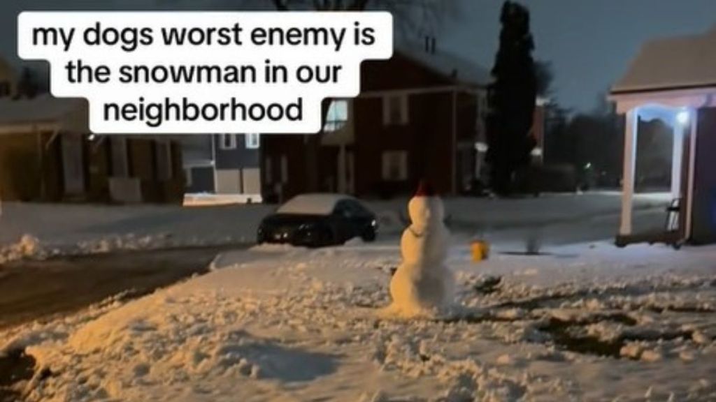 Image shows a snowman that a friendly dog always barks at.