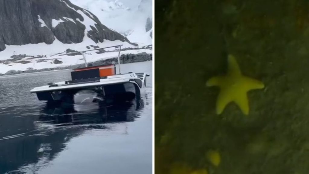 Left image shows the submarine that took passengers 300+ feet into the Antarctic Ocean. Right image shows a starfish hanging out on the ocean floor.