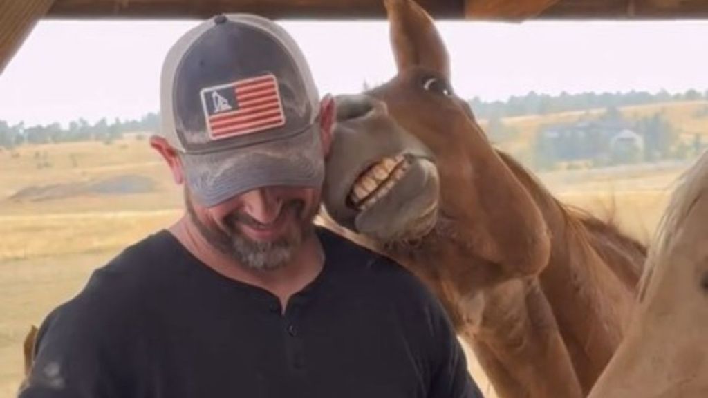 Image shows Wesley the Horse smiling during the filming of a commercial.