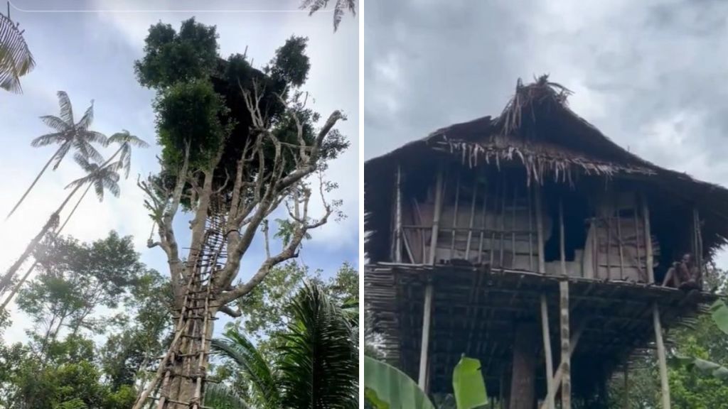 Images show the elaborate treetop homes of the Korowai tribe.