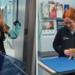 Left image shows vet hospital technicians with special equipment used with vicious animals. Right image shows a tiny orange tabby cat calmly held by another tech.