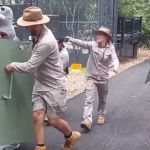 Image shows zoo keeps training to return an escaped cassowary to its enclosure.