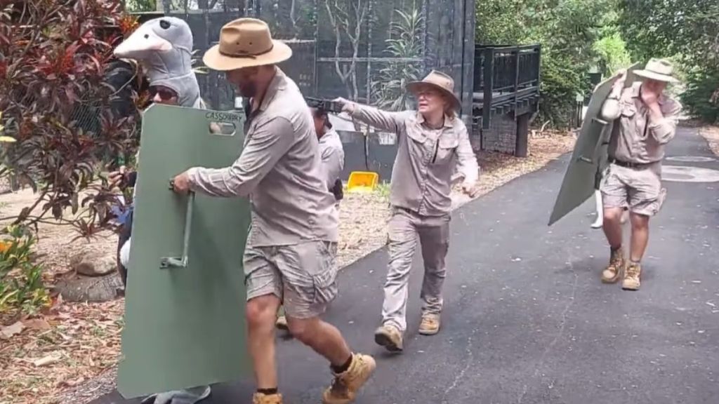 Image shows zoo keeps training to return an escaped cassowary to its enclosure.