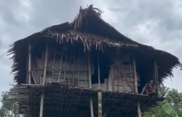 The Korowai tribe builds massive homes high in treetops.