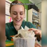 A woman smiling at a box with a baby bird in it.