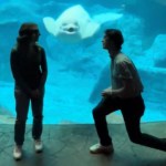 A woman stands as the man across from her starts to get down on one knee. They are in an aquarium, standing in front of a beluga who curiously watches them