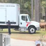 A man standing outside a delivery truck.