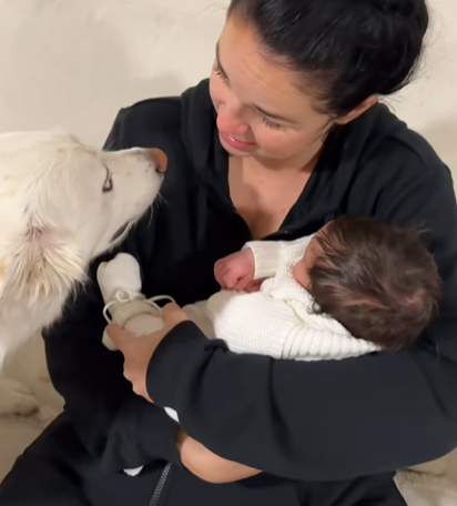 Priorities: Dog Makes Sure To Check On Mom First While Meeting New Baby