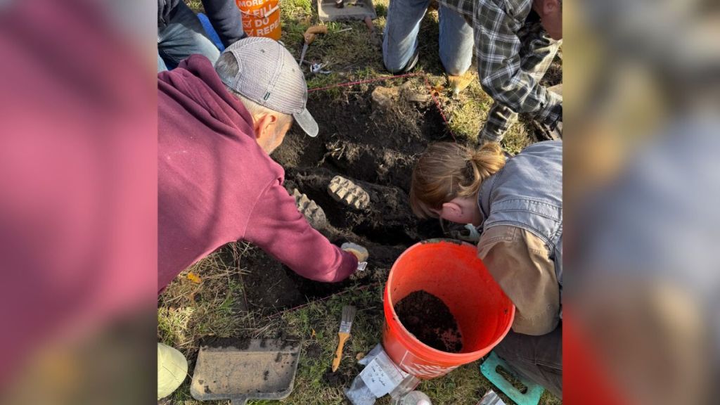 People excavating a mastodon jaw fossil with tools.