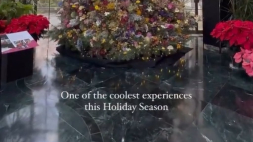 The bottom-half of a colorful Christmas tree. Text on the image reads: One of the coolest experiences this Holiday Season