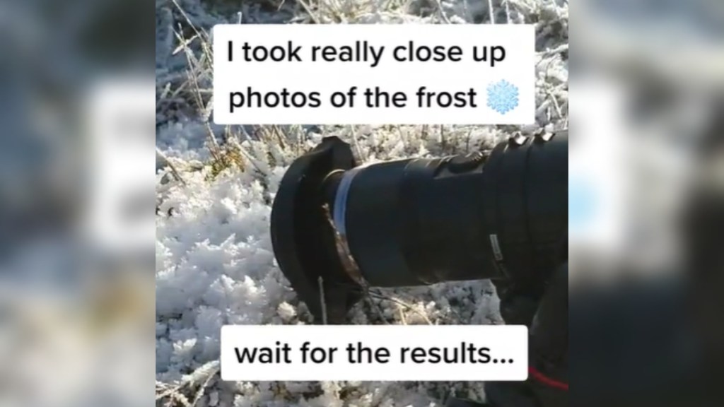 Close up of a camera rested near the ground. It is pointed toward a patch of interesting looking frost. Text on the image reads: I took really close up photos of the frost. Wait for the results...