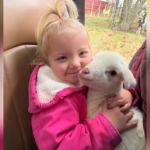 A little girl holding a white lamb in her lap.