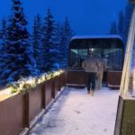 A holiday train passing evergreens on a snowy evening.