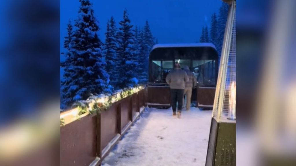 A holiday train passing evergreens on a snowy evening.