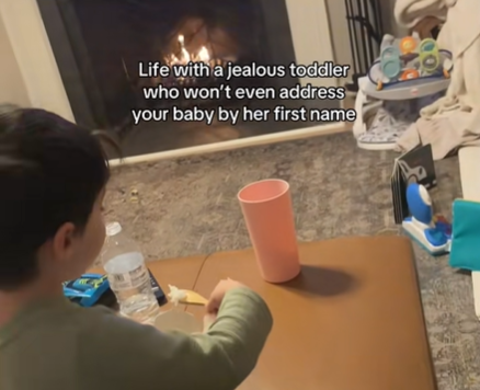 Jealous Toddler Is The Opposite Of Hype Man When It Comes To His Baby Sister