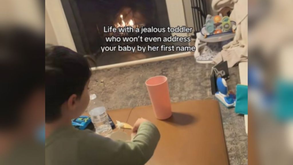 The words "Life with a jealous toddler who won't even address your baby by her first name" over an image of a little boy.