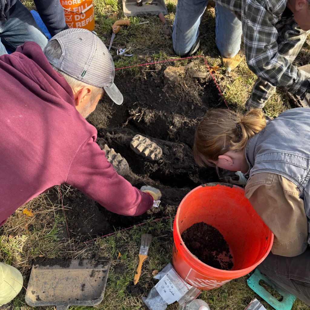 People excavating a mastodon jaw fossil  with tools. 