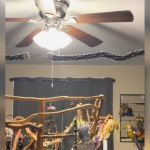 A room with a ceiling fan and a large bird play gym.