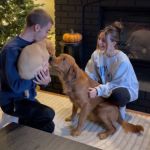 A couple introducing their golden retriever to their new puppy.