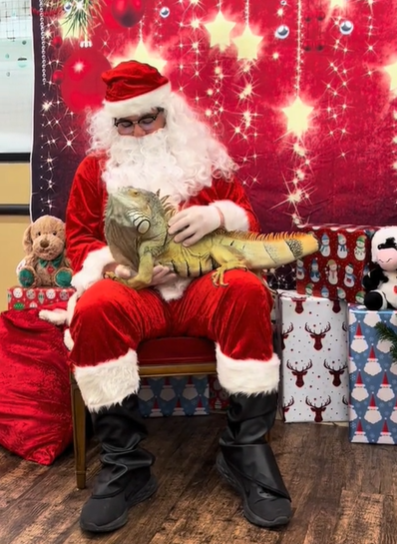 A man dressed as Santa Claus holding an iguana in his lap. 