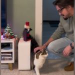 Image shows cat dad Alex singing to his cat Flora to see if she likes the song.