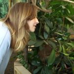 Image shows a London Zoo patron getting a close-up look at a spider web in some foliage.