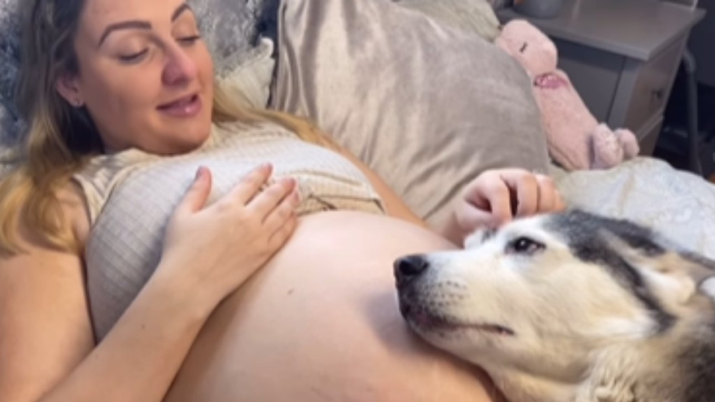 A pregnant woman lays on her back, her large belly exposed. She smiles as she looks down and pets the Husky resting her head on her stomach.