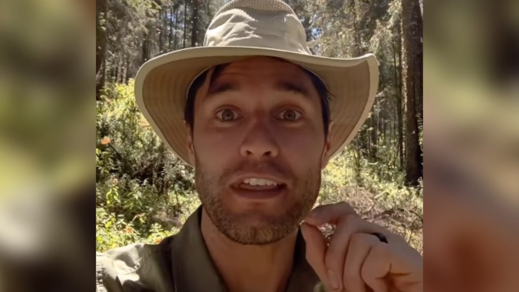 Close up of a man talking passionately to a camera. He stands outside in a forest area, monarch butterflies flying all around in the distance