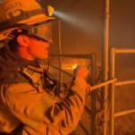 A firefighter stands near an outdoor animal enclosure, locking it.