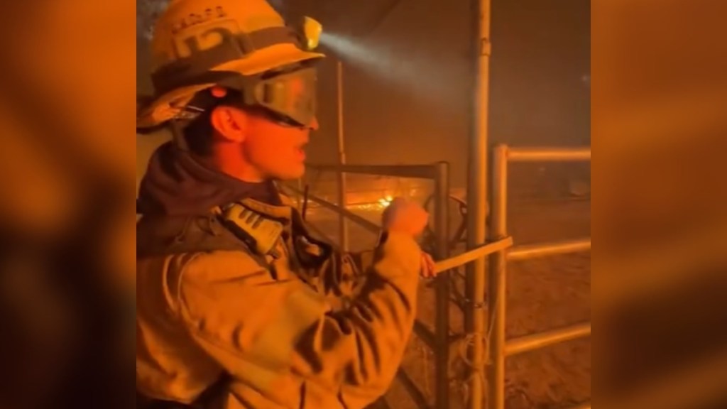 A firefighter stands near an outdoor animal enclosure, locking it.