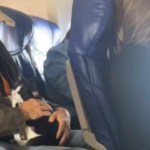 A man sits on a plane. He smiles as he looks down and pets the small black-and-white cat in his lap