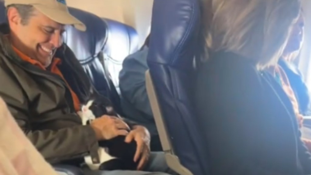 A man sits on a plane. He smiles as he looks down and pets the small black-and-white cat in his lap