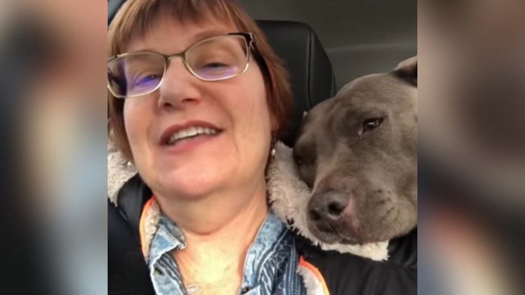 Close up of a woman sitting in a car. A pit bull rests her head on the woman's shoulder. The woman smiles but looks nervous.