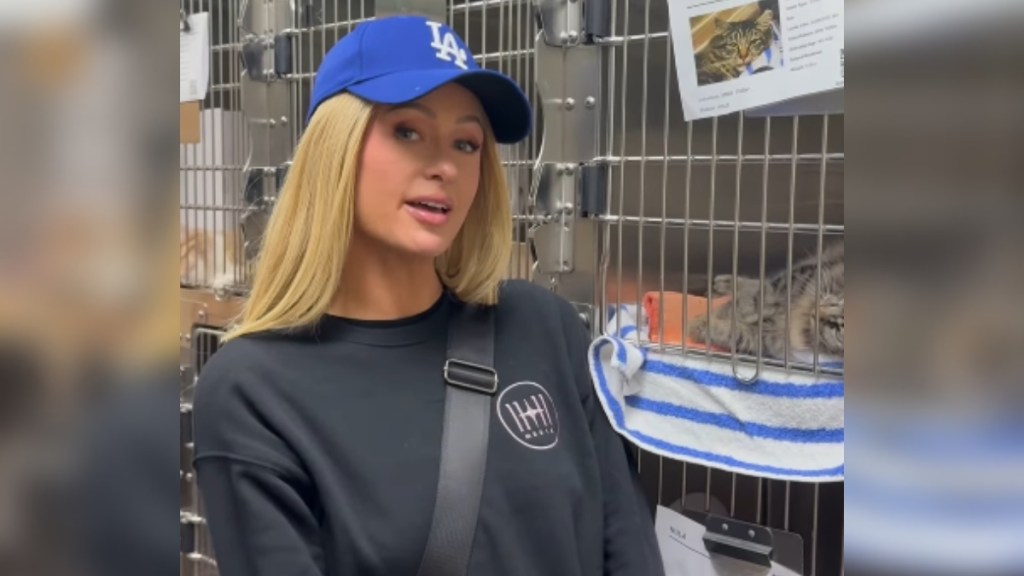 Paris Hilton stands in front of crates at an animal shelter. A cat lays in one of the crates that are right next to Hilton who is talking to the camera