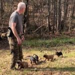 Puppies following a K-9 Unit trainer.