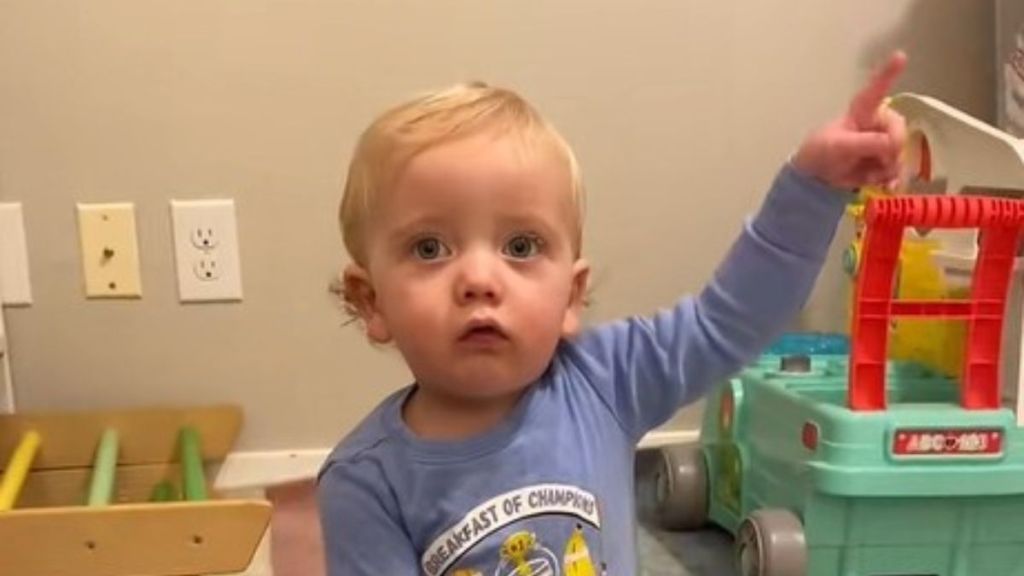 One-year-old uses nonverbal signs to help his mom guess his daily song requests.