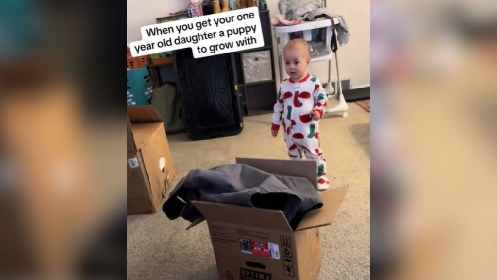 A baby presented with a cardboard box.