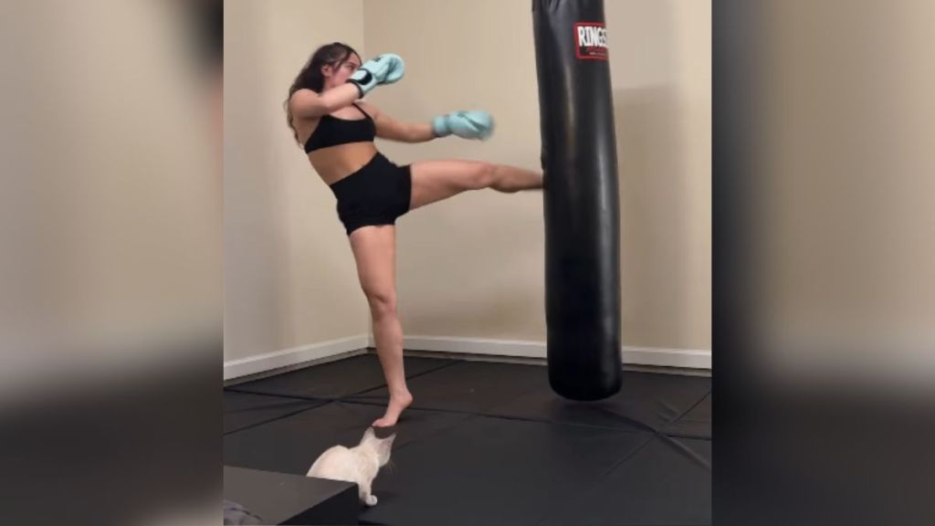 A woman kicking a punching bag while her cat watches.