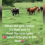 A herd of cattle trotting through the grass.