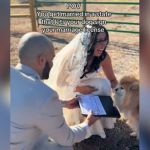 A smiling bride in between her groom, who is holding the marriage license, and a small dog.